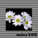 Miss You