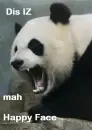 panda this is my happy face