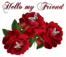 Hello my Friend