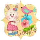 Cookie