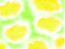 spring scenery