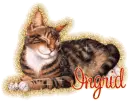 Ingrid-cat