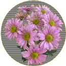 Gerbers