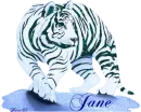 White Tiger - Jane