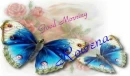 Good Morning Rowena