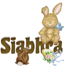 Bunny & Egg: Siabhra