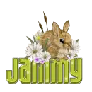 Bunny: Jammy