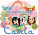 spring beauties
