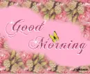 Good Morning