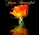 You're Beautiful