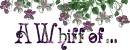 a whiff of