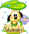 Ashlie