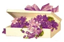 box of violets