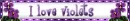 i love violets