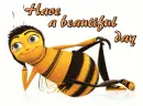 have a beautiful day
