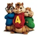 chipmunka