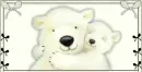 polar bears