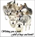 wishing you a pack full of hugs and howls