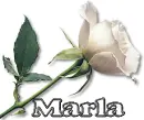 Marla