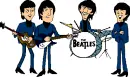 Band Beetles.