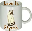 Fayeth's love it mug