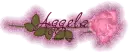 Aggela-rose