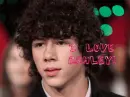 ashley nick jonas i love