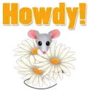Howdy!- Mouse into flowers