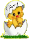 Perry