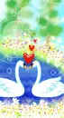 swan love