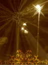 Casting Lights From A Tree