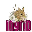 Bunny: Ingrid