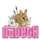 Bunny: Nadeth