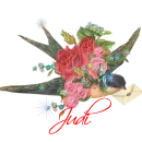 Judi 
