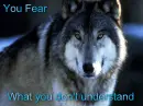 you dont understand