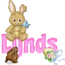 Animated Bunny: Lynds