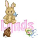 Animated Bunny: Lynds