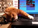 Sleepy addict