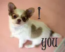 I Love you....