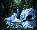 nicolas