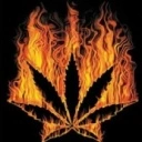 Burn Marijuana