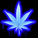 Iced Marijuana