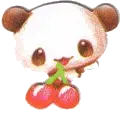 Panda & Cherries