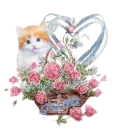 Cat Rose Basket