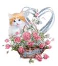 Cat Rose Basket