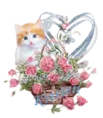 Cat Rose Basket
