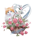 Cat Rose Basket