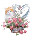Cat Rose Basket