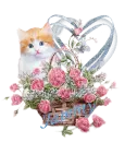Cat Rose Basket