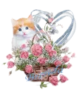 Cat Rose Basket
